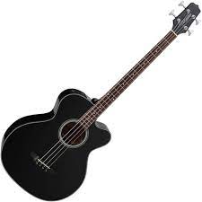 Acoustic Bass Guitar
